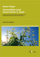 Green Paper. Intermediate Local Governments in Spain (executive summary)
