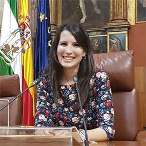 ¿Qué instrumentos jurídicos permiten implementar las fuentes de energías renovables sobre los bienes municipales?